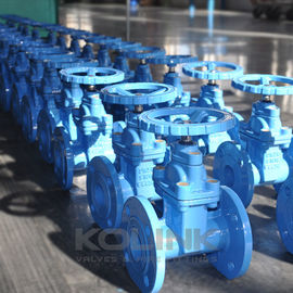 BS5163 Resilient Seated Gate Valve Ductile Iron GGG40 GGG50 Irigasi